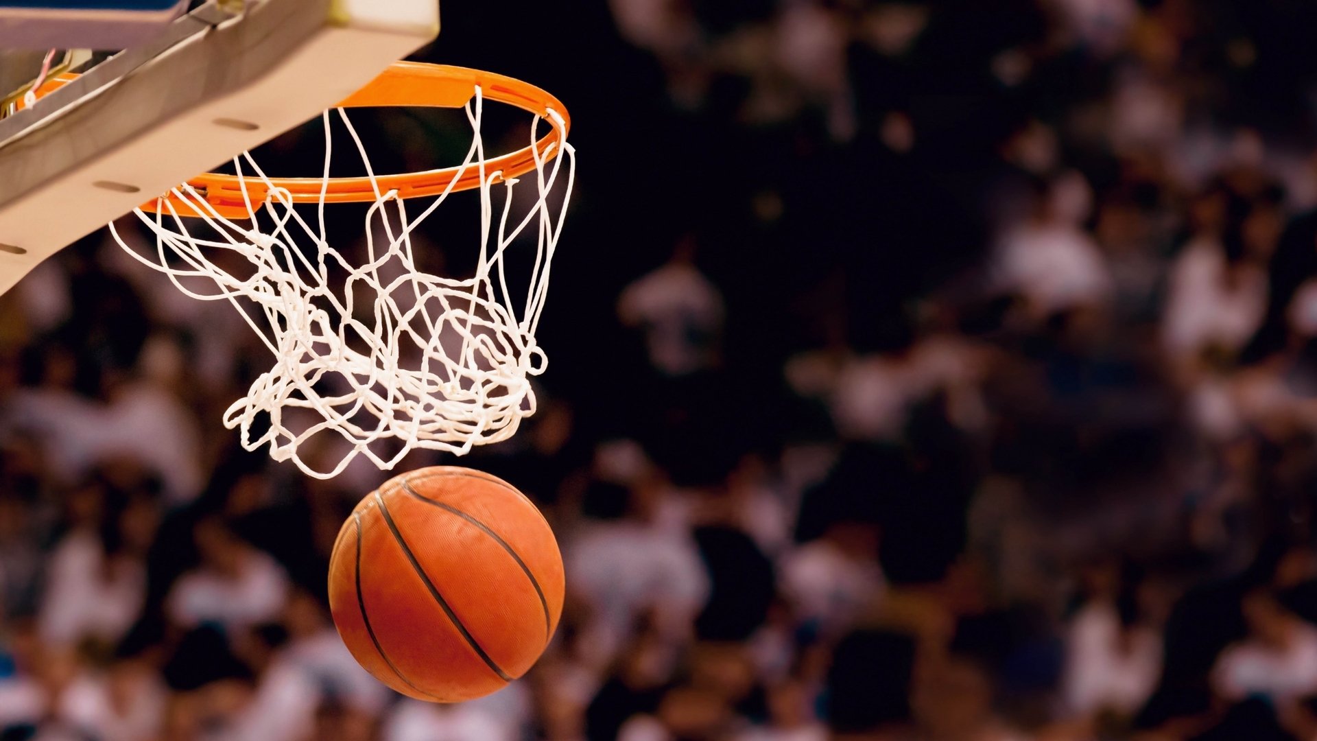 开云体育下载-体坛乱纪元,CBA遇上NBA,再与欧冠擦肩而过